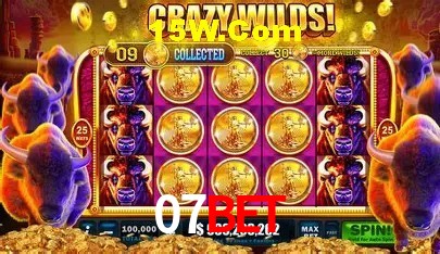 Suporte prioritário e eventos VIP